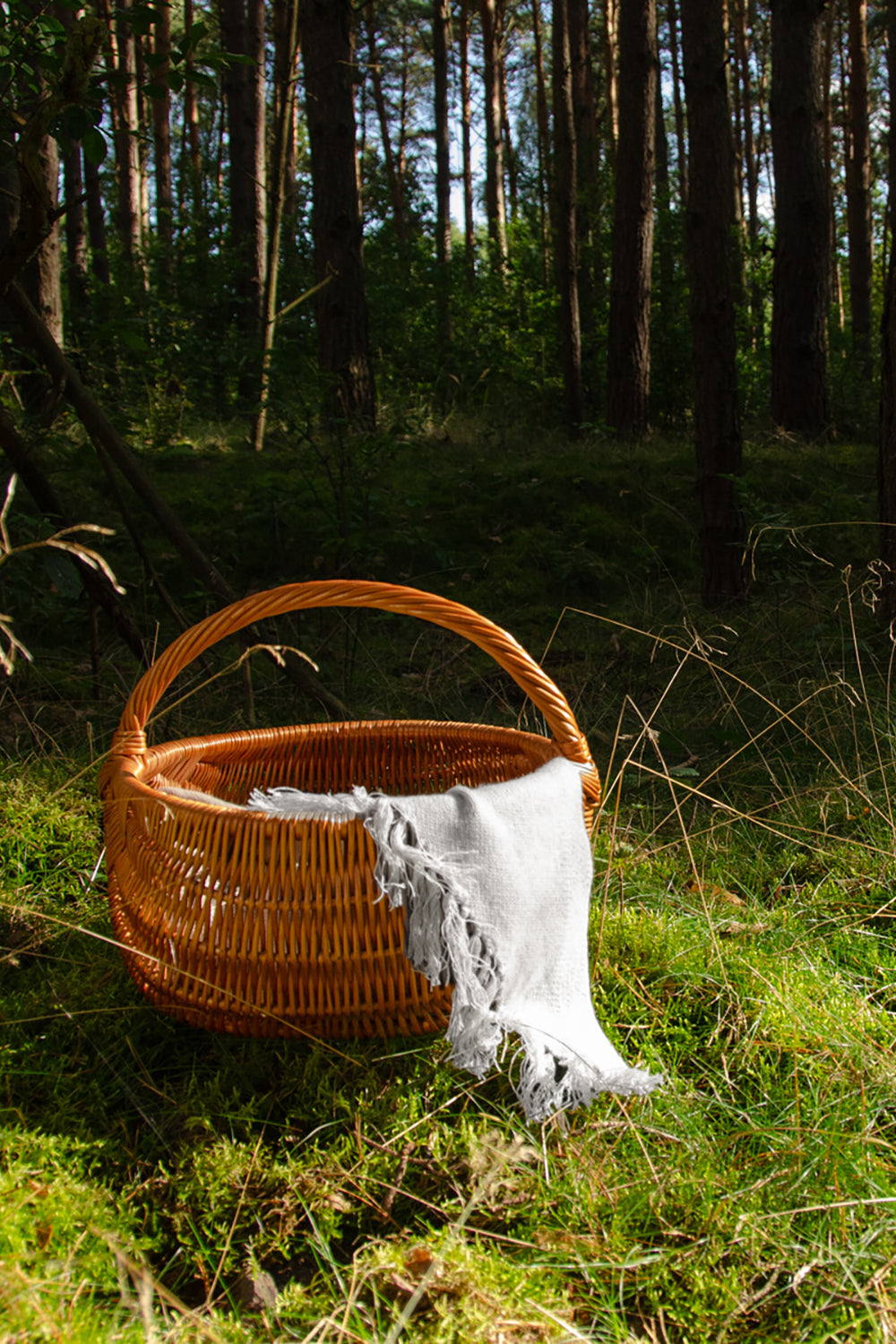 TRIANGLE OF HAPPINESS